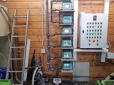 �������� ������ ��� ����������