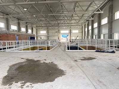 ������ ������� ����