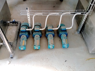 ������ ������ �������