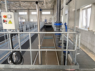 ������ ������� ������