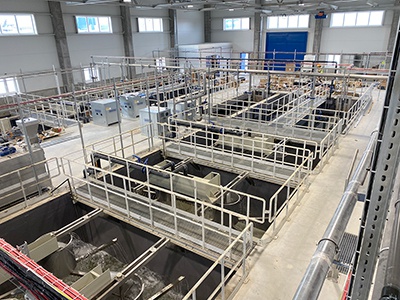 ������ ������� ����