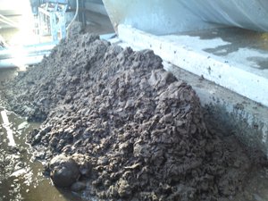 �������� ��������� AMCON ES-303