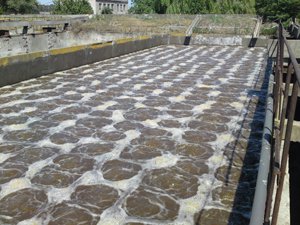 ���������� �� ������ ������� ������� ������ ��� �� ������� �������� ������������