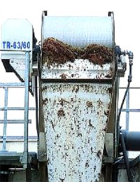 ������ ����������� ���� TR