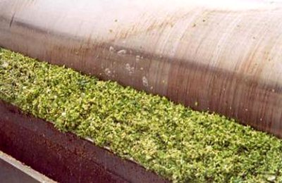 ��������� ���� TR � ���, ������