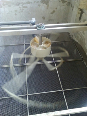 ����������, ������������ �������������