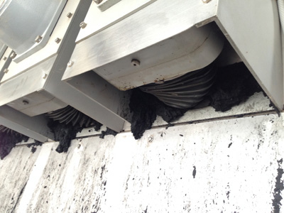 ����������, ������������ �������������