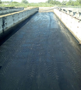 ����������, ������������ �������������