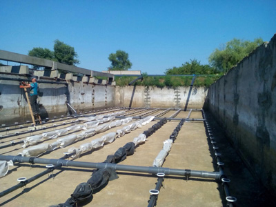 ����������, ������������ �������������