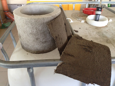 ����������, ������������ �������������