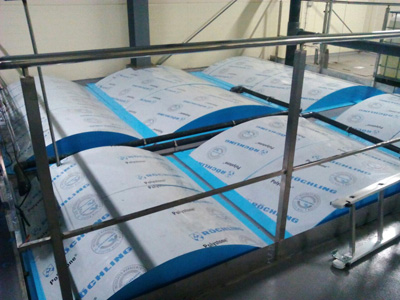 ������������ ������ ������� ������