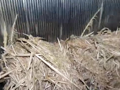 ������������ ������ ������� ������