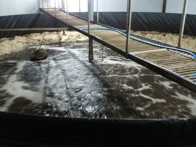 ������������ ������ ������� ������