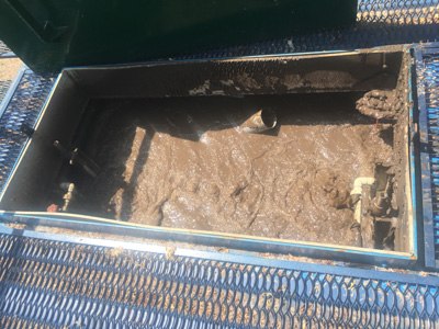 ������������ ������ ������� ������