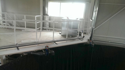 ������������ ������ ������� ������